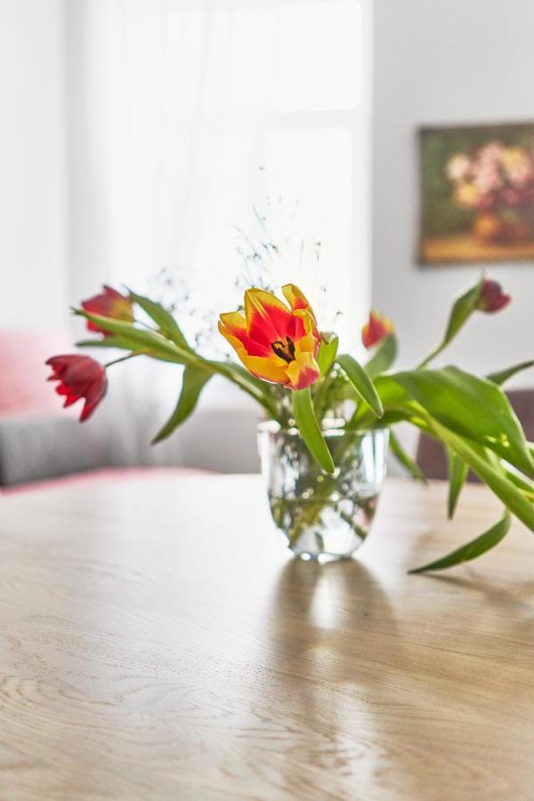 New And Lovely Apartament In Vilnius City Centre 外观 照片